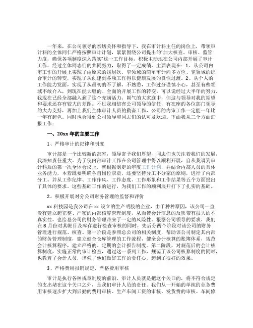 行政事业单位内部审计报告范文