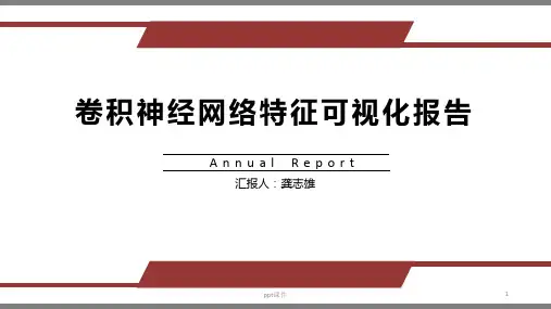 CNN特征可视化报告  ppt课件