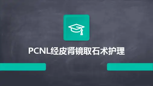 PCNL经皮肾镜取石术护理