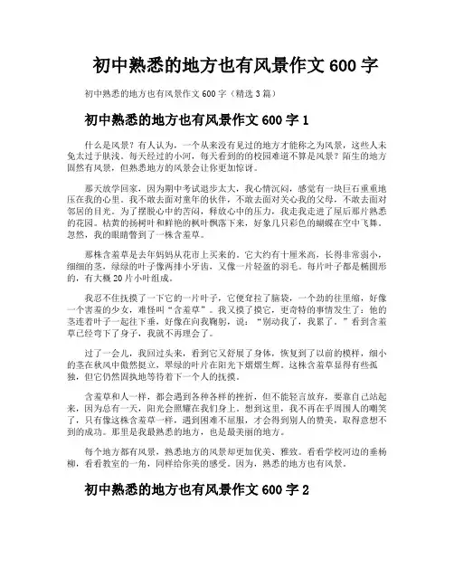 初中熟悉的地方也有风景作文600字