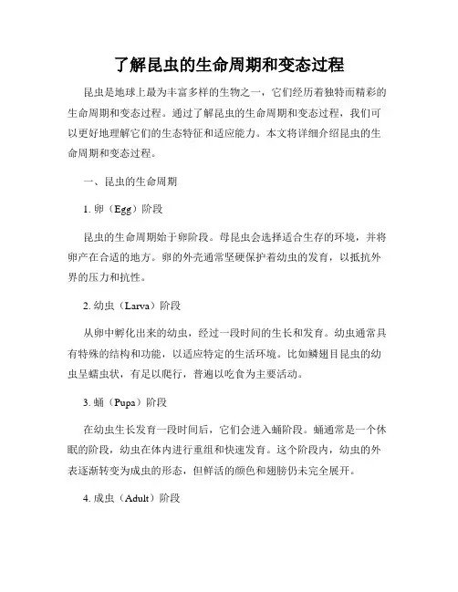 了解昆虫的生命周期和变态过程