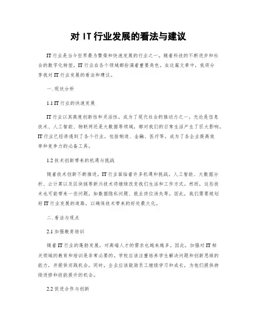 对IT行业发展的看法与建议