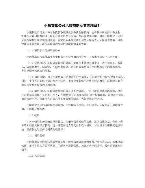 小额贷款公司风险控制及其管理浅析