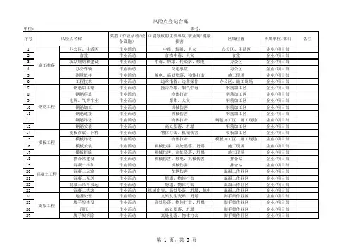 风险点登记台账表