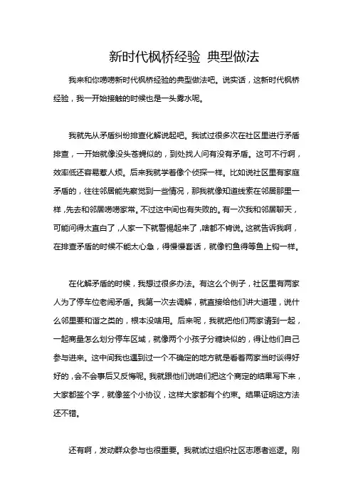 新时代枫桥经验 典型做法