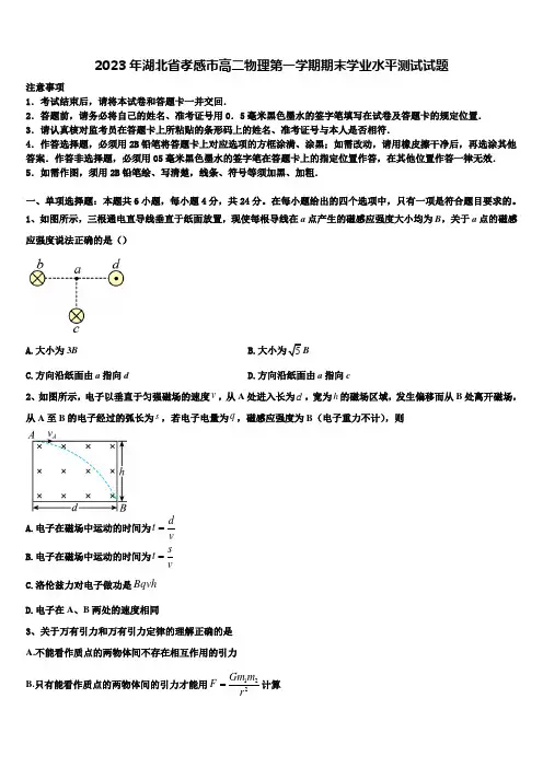 2023年湖北省孝感市高二物理第一学期期末学业水平测试试题含解析