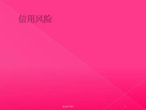 第二章信用风险典型案例ppt课件