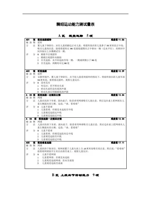精细运动测试量表