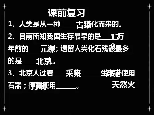 《原始的农耕生活》ppt
