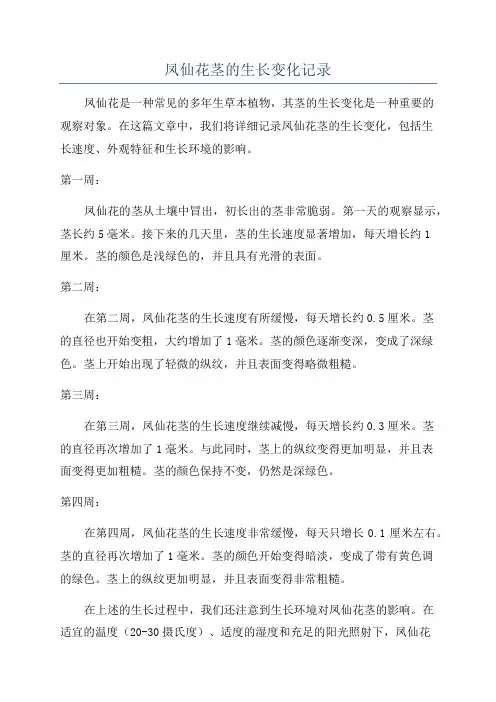 凤仙花茎的生长变化记录