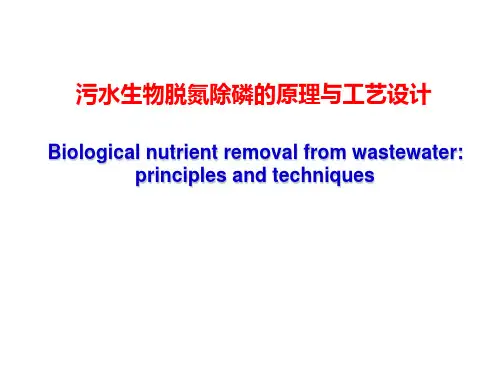 生物脱氮除磷的原理与工艺设计 2PPT课件