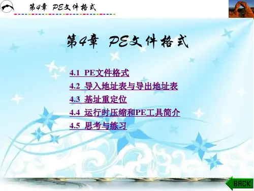 软件逆向工程原理与实践第4章PE文件格式