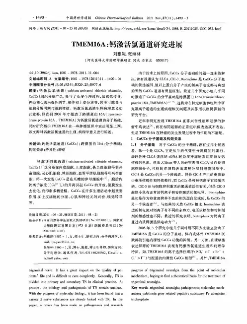 TMEM16A：钙激活氯通道研究进展