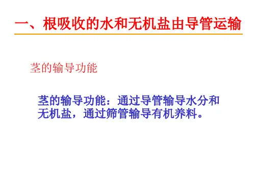 第一节植物体内的物质运输课件