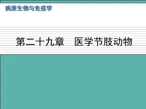 病原生物与免疫学医学节肢动物
