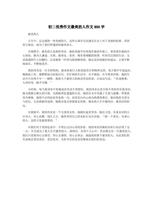 初二优秀作文最美的人作文800字