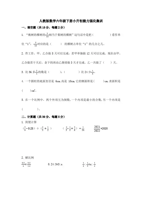 小升初能力集训(试题)  六年级下册数学人教版  