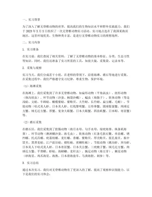 无脊椎动物实习报告