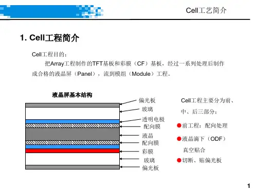 Cell工程工艺简介课件