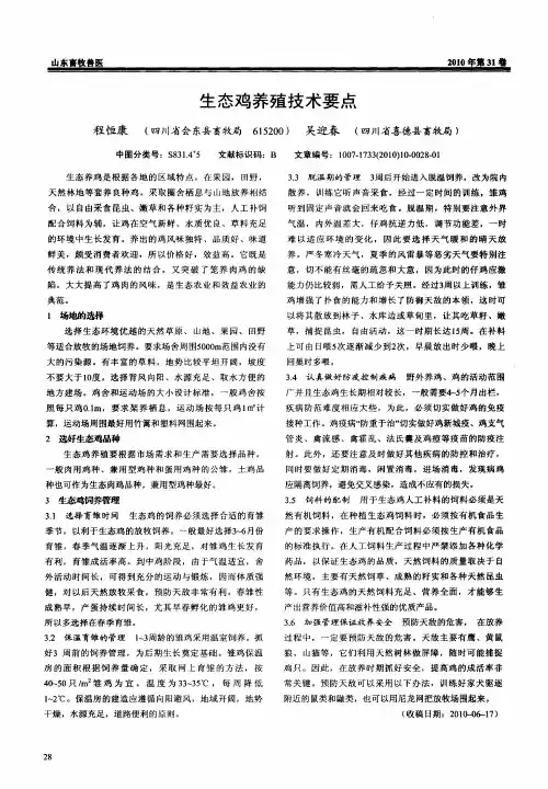 生态鸡养殖技术要点