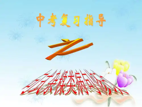 中考专题复习病句修改之句式杂糅