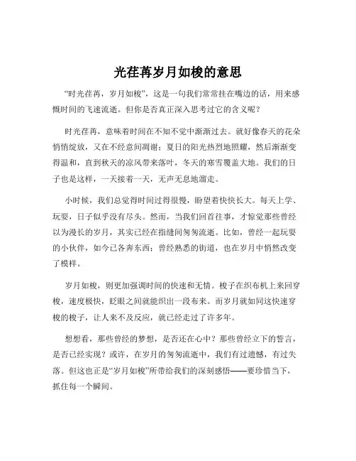 光荏苒岁月如梭的意思