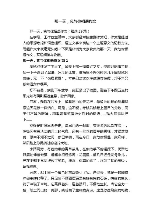 那一天，我与你相遇作文