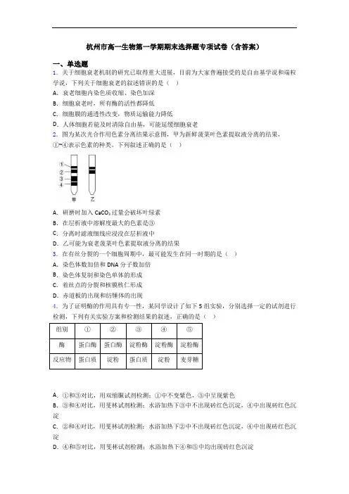 杭州市高一生物第一学期期末选择题专项试卷(含答案)