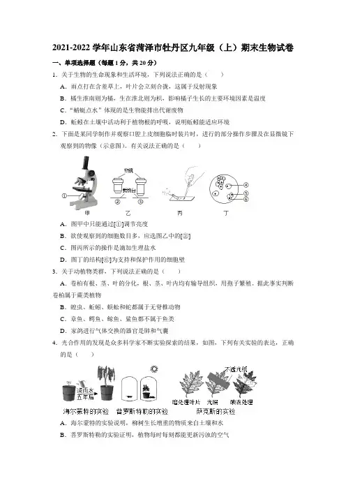 山东省菏泽市牡丹区2021-2022学年九年级上学期期末生物试卷