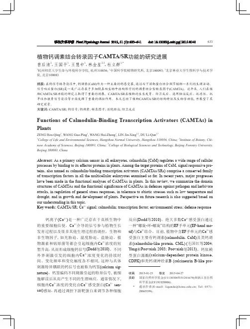 2015 曾后清等-植物生理学报 CAMTA综述