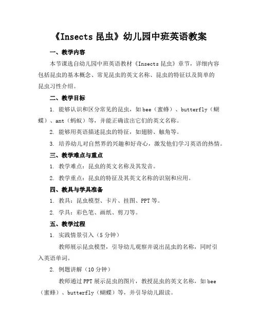 《Insects昆虫》幼儿园中班英语教案