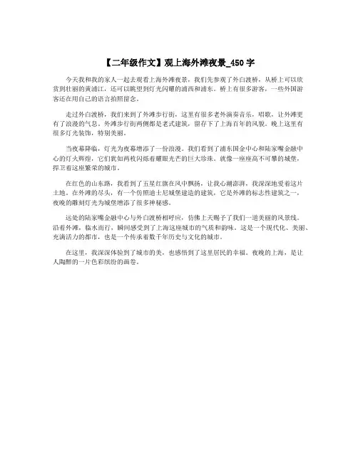 【二年级作文】观上海外滩夜景_450字