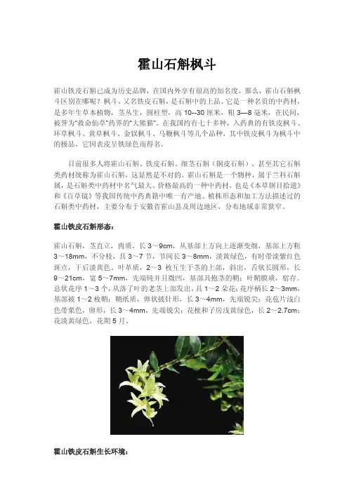 霍山石斛枫斗