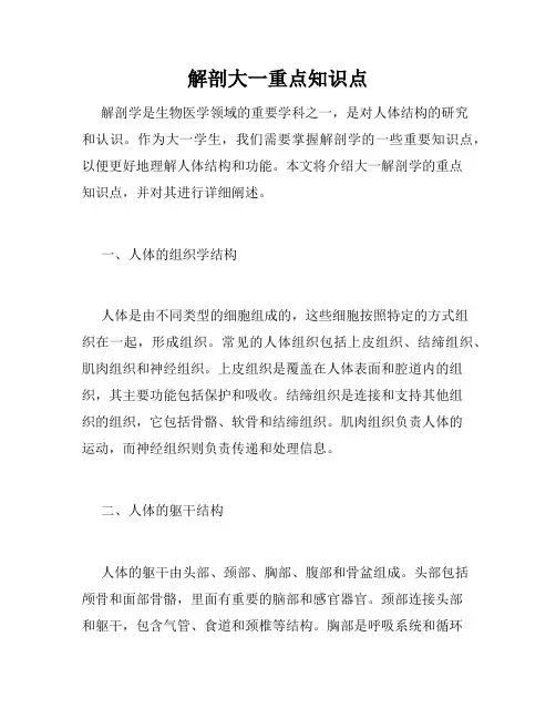 解剖大一重点知识点