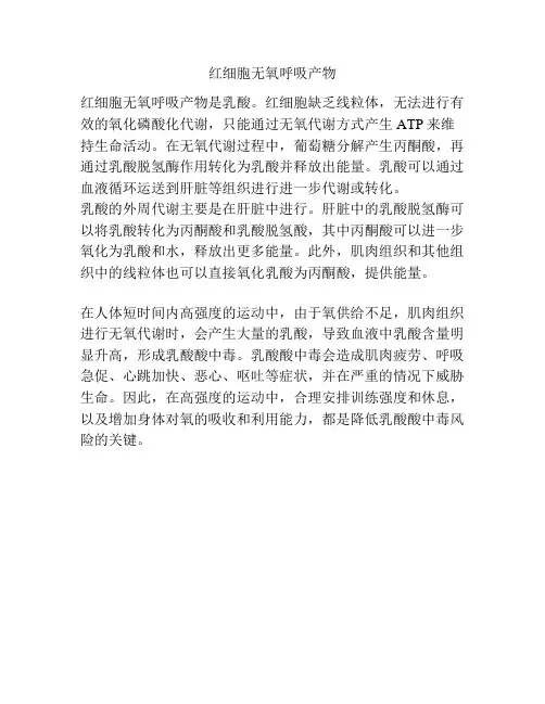 红细胞无氧呼吸产物