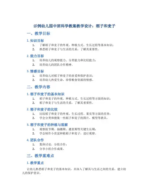 示范幼儿园中班科学教案教学设计：稻子和麦子