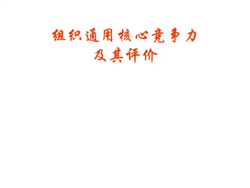 核心竞争力及其评价-