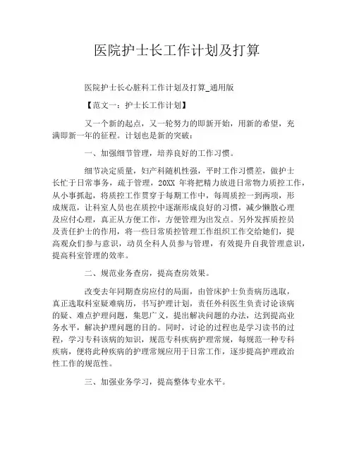 医院护士长工作计划及打算
