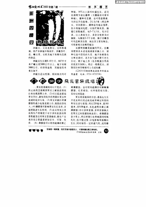番茄茄子果实套袋栽培