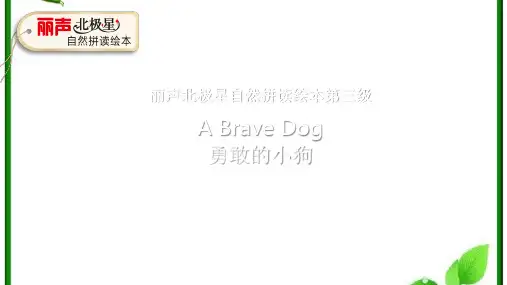 丽声北极星自然拼读绘本第三级 A Brave Dog 课件