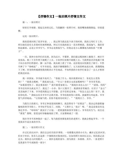 【抒情作文】一张旧照片抒情文作文