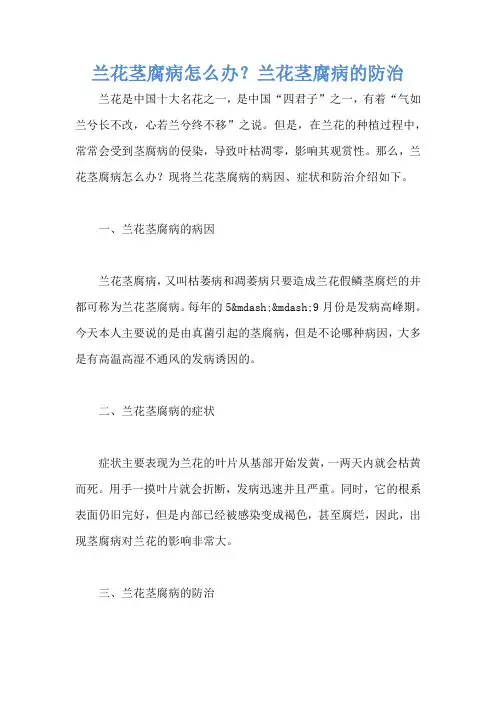 兰花茎腐病怎么办？兰花茎腐病的防治