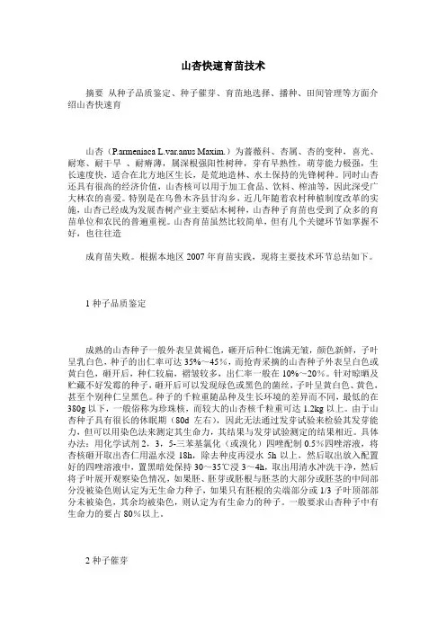 山杏快速育苗技术