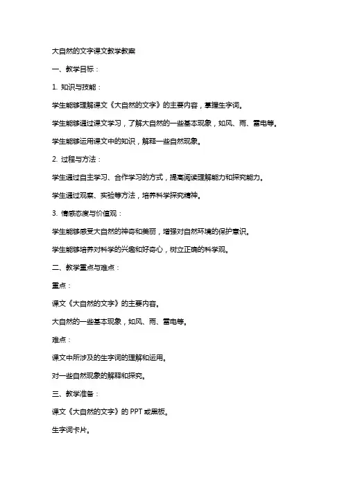 大自然的文字课文教学教案