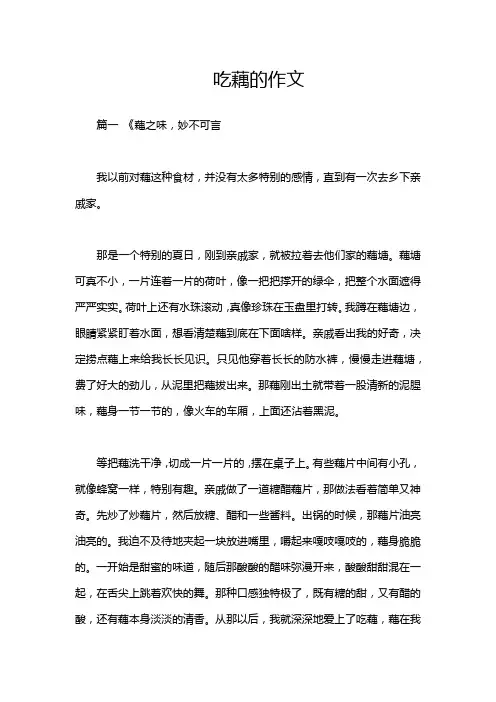 吃藕的作文