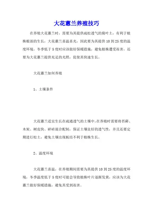 大花蕙兰养殖技巧