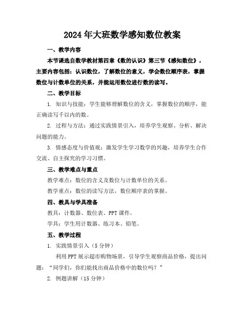 2024年大班数学感知数位教案