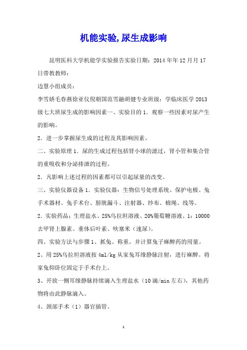 机能实验,尿生成影响