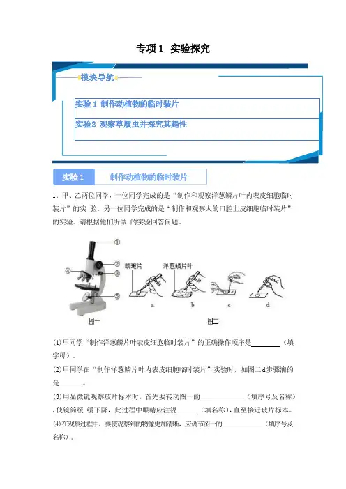 北师大版(2024新版)七年级生物上册期中复习专项1 实验探究(带答案解析)