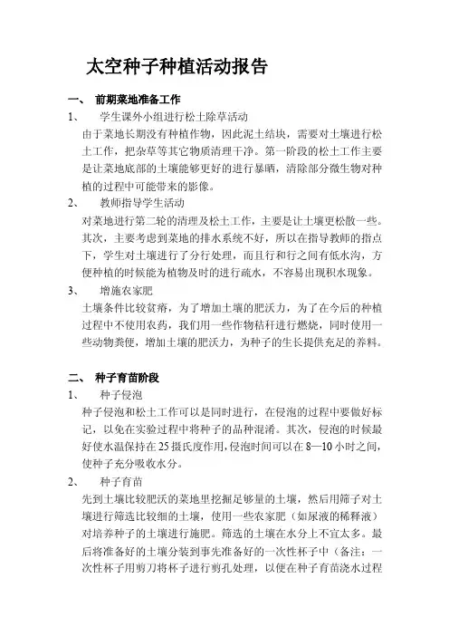 太空种子种植活动报告